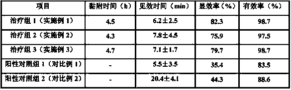 A kind of external preparation for oral cavity and preparation method thereof