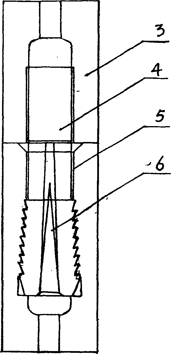 Upper-screw-lower-top expansion meshing body pile-connecting fastener and prefab