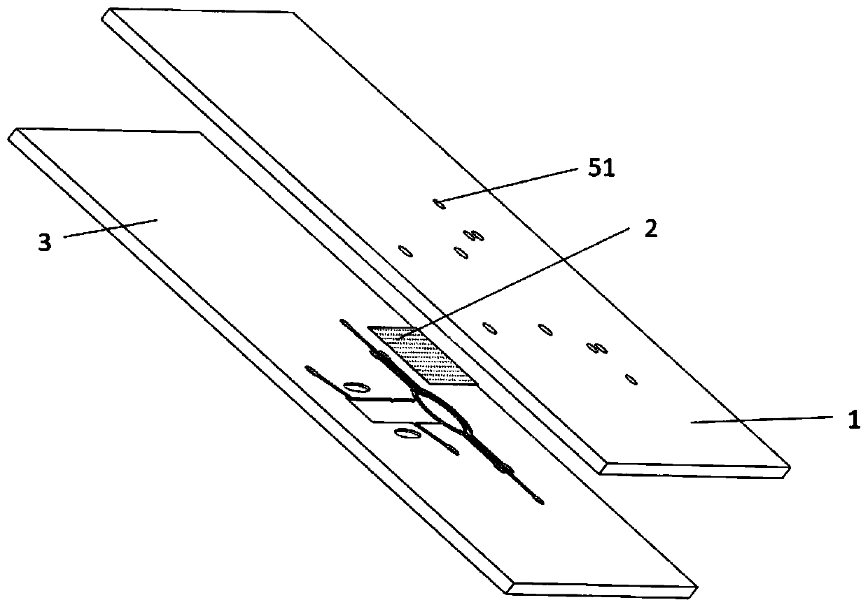 Microfluidic chip for constructing bionic lung cancer brain metastasis model and model construction method