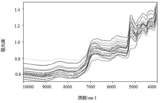 Non-destructive prediction method of Yuan'an yellow tea boredom time based on least squares support vector machine