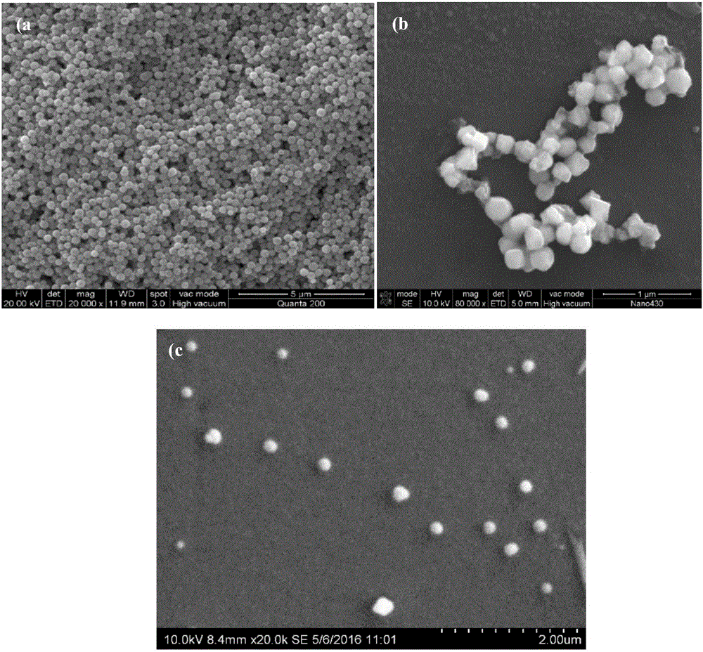 Photo-Fenton catalyst Fe3O4/rGO/TiO2, preparation method and applications thereof