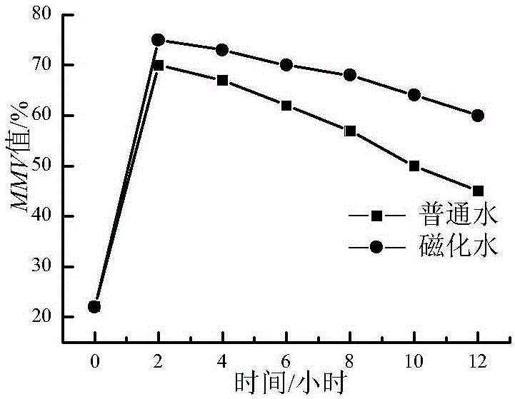 Spiral seaweed magnetic ion eye cream and preparation method thereof