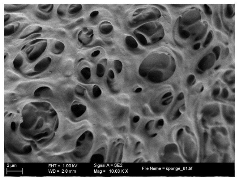 Method for preparing in-situ synthesis of sponge-supported iron oxide nanoparticle composites