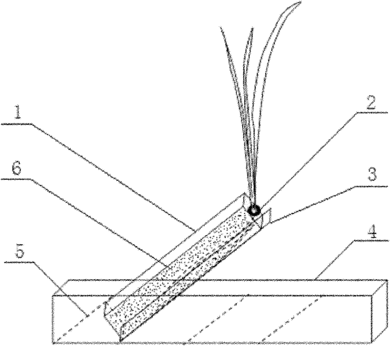 Rhizosphere simulated culture device and method for culturing rhizosphere by using same