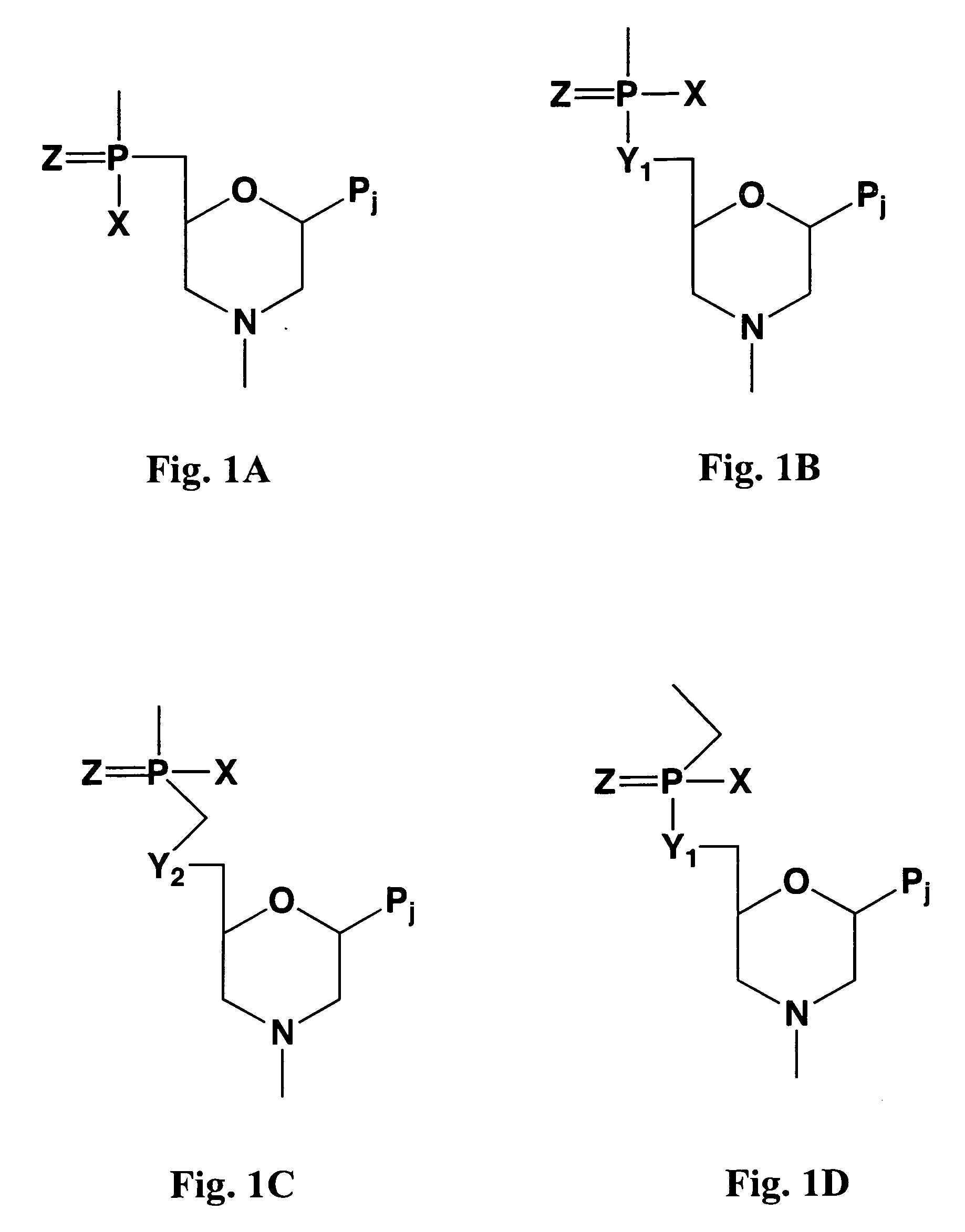 Antisense antibacterial method and compound