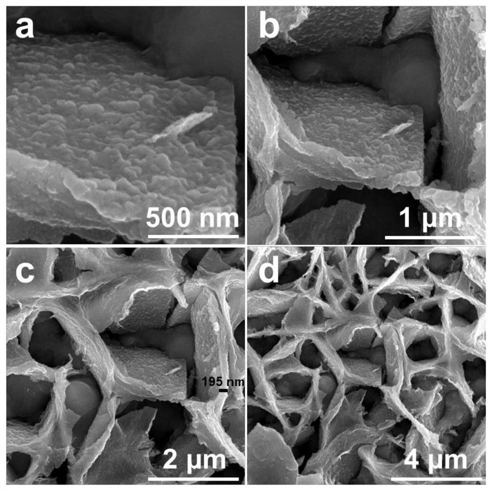 Preparation method of bismuth-doped bimetallic sulfide electrode for electro-catalytic oxidation of urea