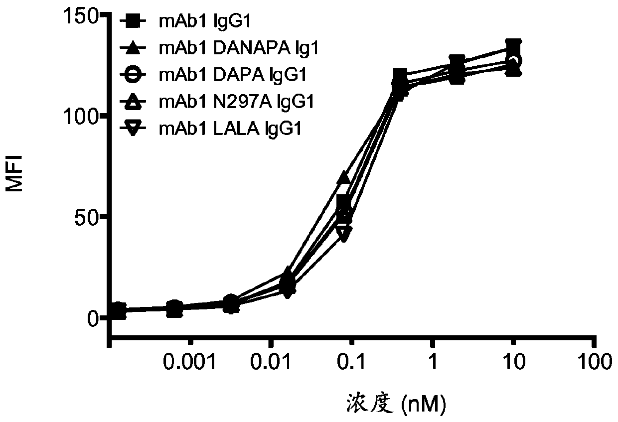 Igg1 fc mutants with ablated effector functions