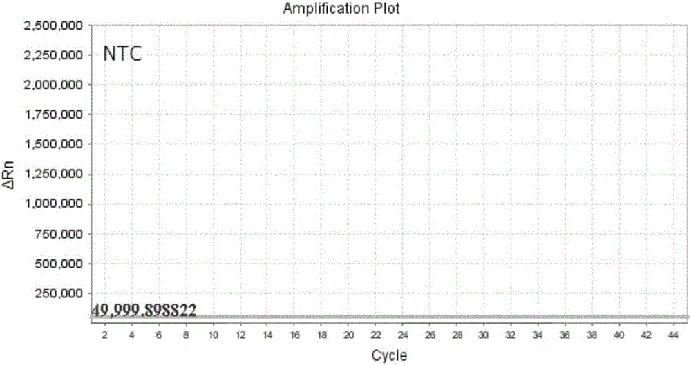 Nucleic acid, kit and method for detecting G1165C polymorphism of human ADRB1 gene