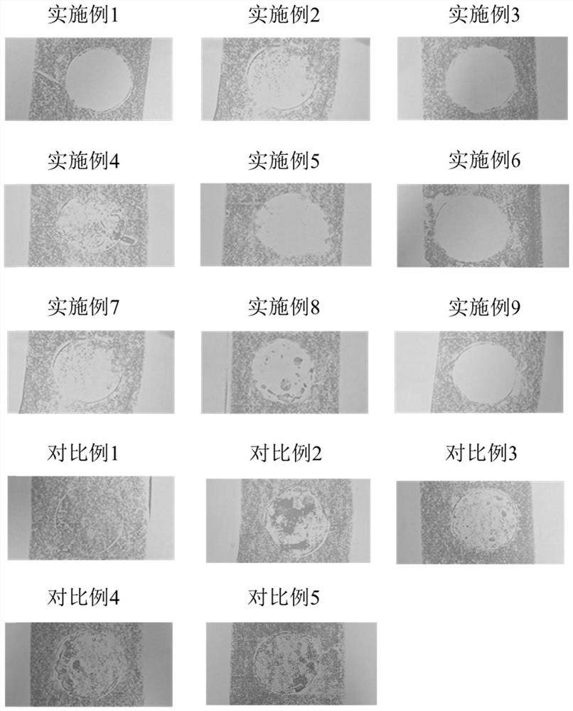 Makeup fixing spray with oil control effect and preparation method thereof