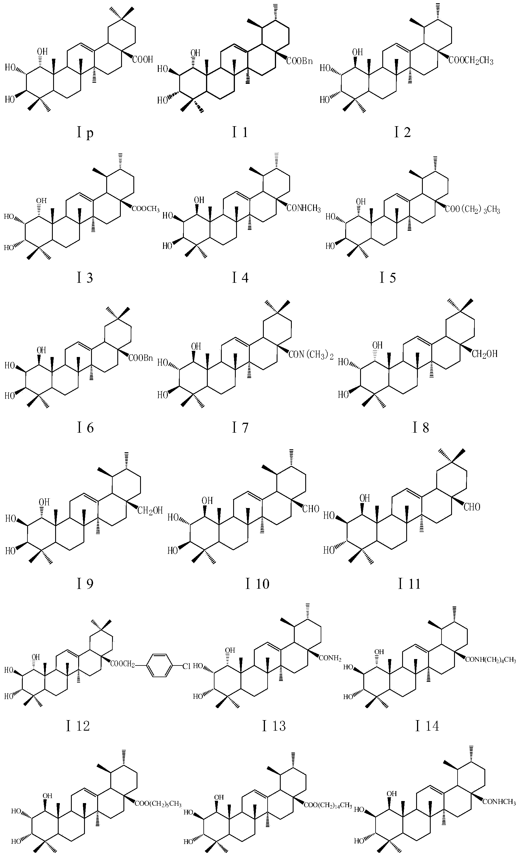 Application of A-ring trihydroxyl substituted pentacyclic triterpene compound to pharmacy