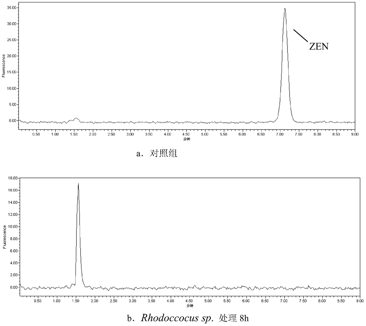 A strain of Rhodococcus and its application in degrading zearalenone