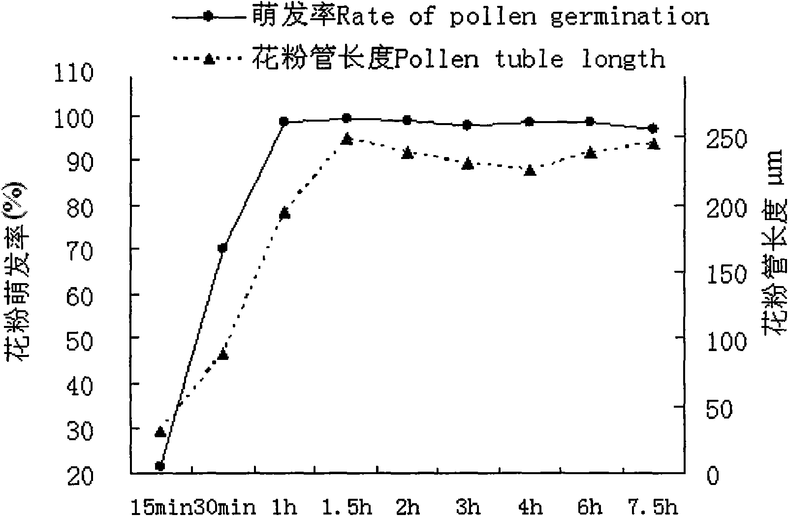 In-vitro pollen germination liquid medium of balloon flower and method using same to determine pollen viability thereof