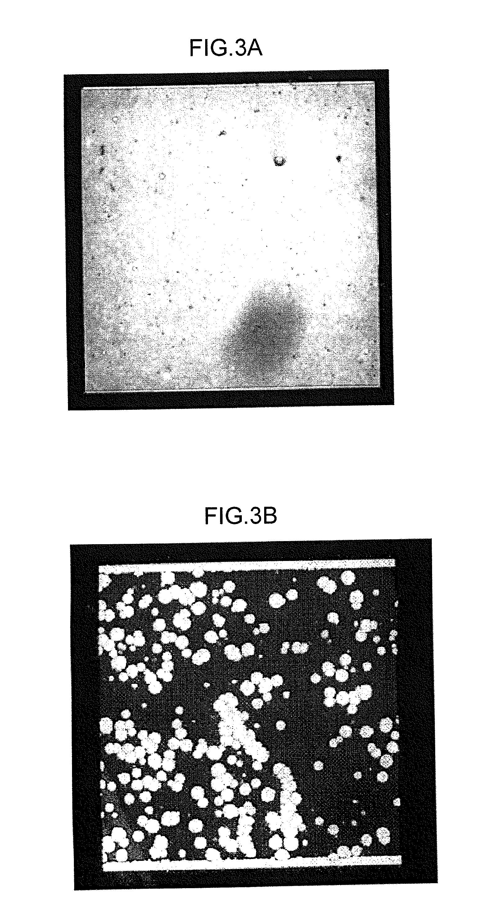 Charge transport film, method for producing the same, and light-emitting element and photoelectric conversion element using the same