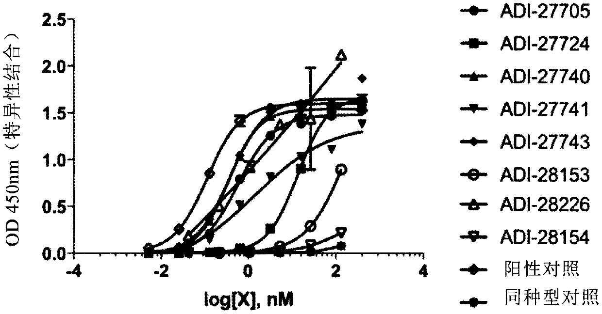 Proteins binding psma, nkg2d and cd16