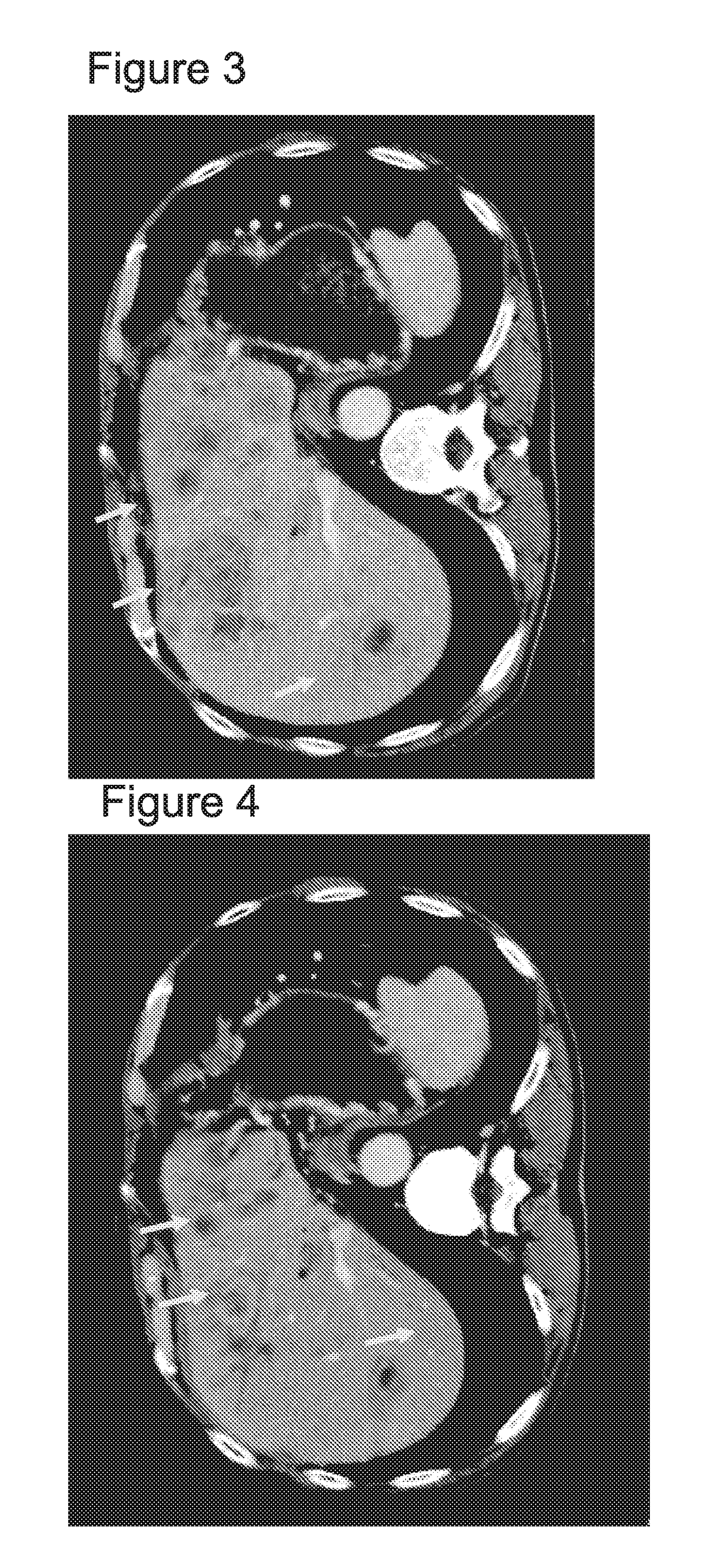 Therapeutic agents for pancreatic cancer