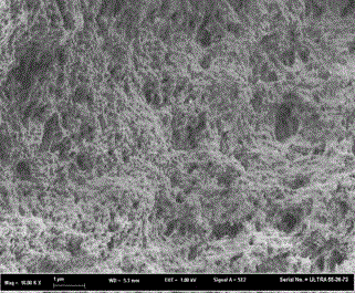 Preparation method for bamboo pulp cellulose-based integrated Fenton catalyst Fe&lt;3+&gt;C2O4/R