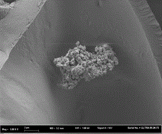 Preparation method for bamboo pulp cellulose-based integrated Fenton catalyst Fe&lt;3+&gt;C2O4/R