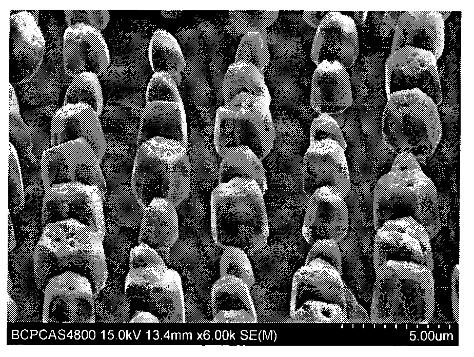Method for preparing ZnO nanorod/microrod crystals with accurate controllable growth position on substrate