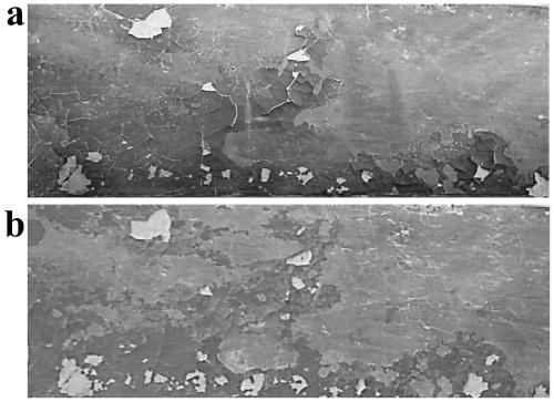 A preparation method of nanometer calcium hydroxide powder material used for reinforcement of ancient murals