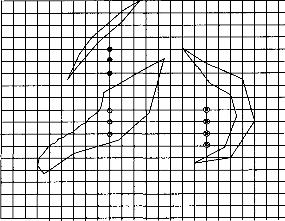 Rectangular net gridding method for painting contour graph containing rift geological structure