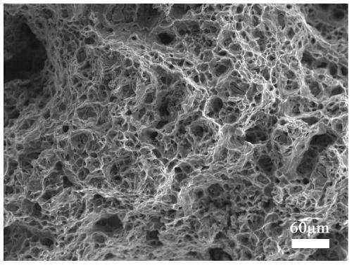 High-strength heat-resistant deformation magnesium alloy material and preparation method thereof