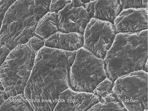 A kind of method for preparing nickel phosphide/graphene composite film material