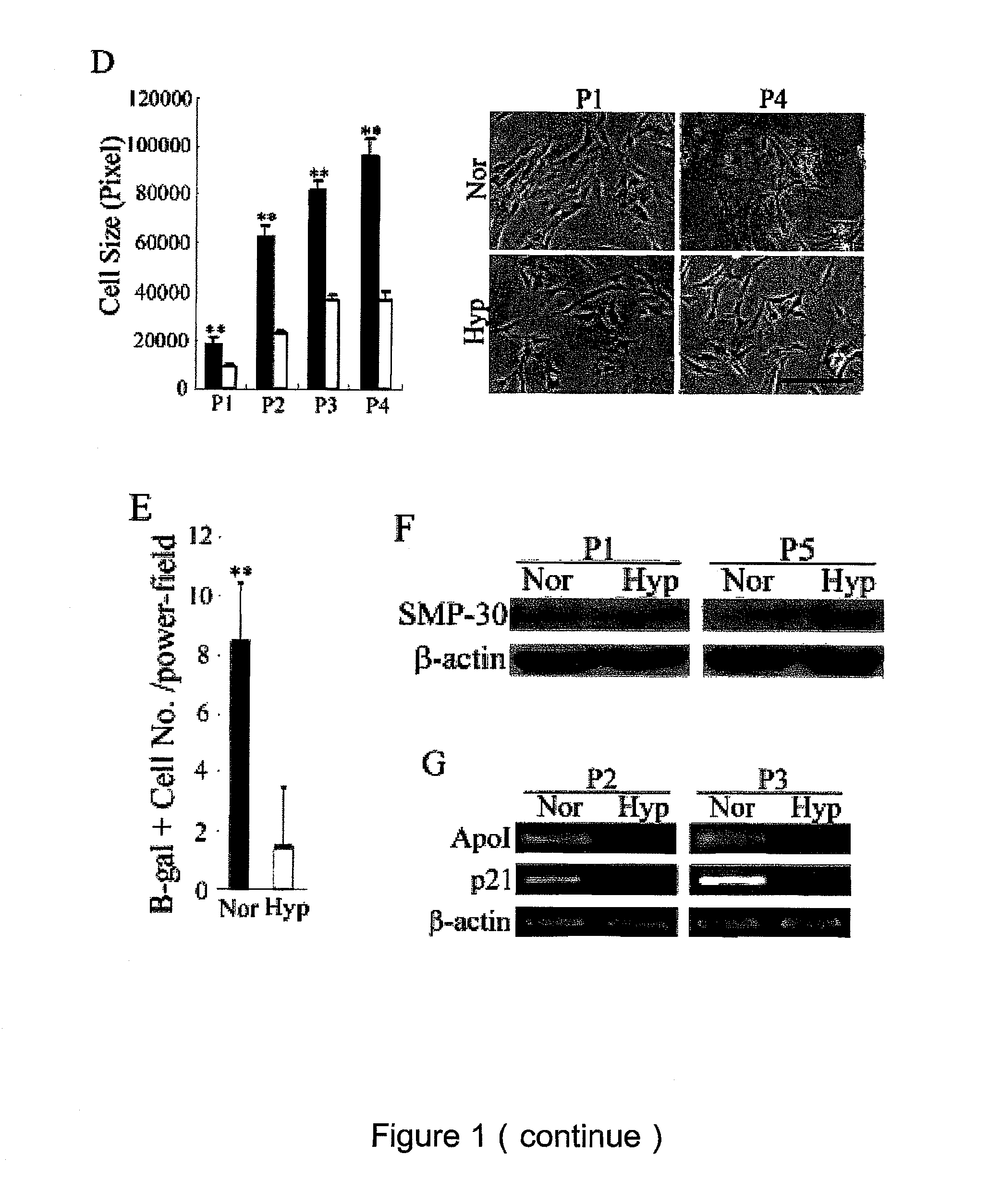 Method for expanding mesenchymal stem cells in low-density and hypoxic culture