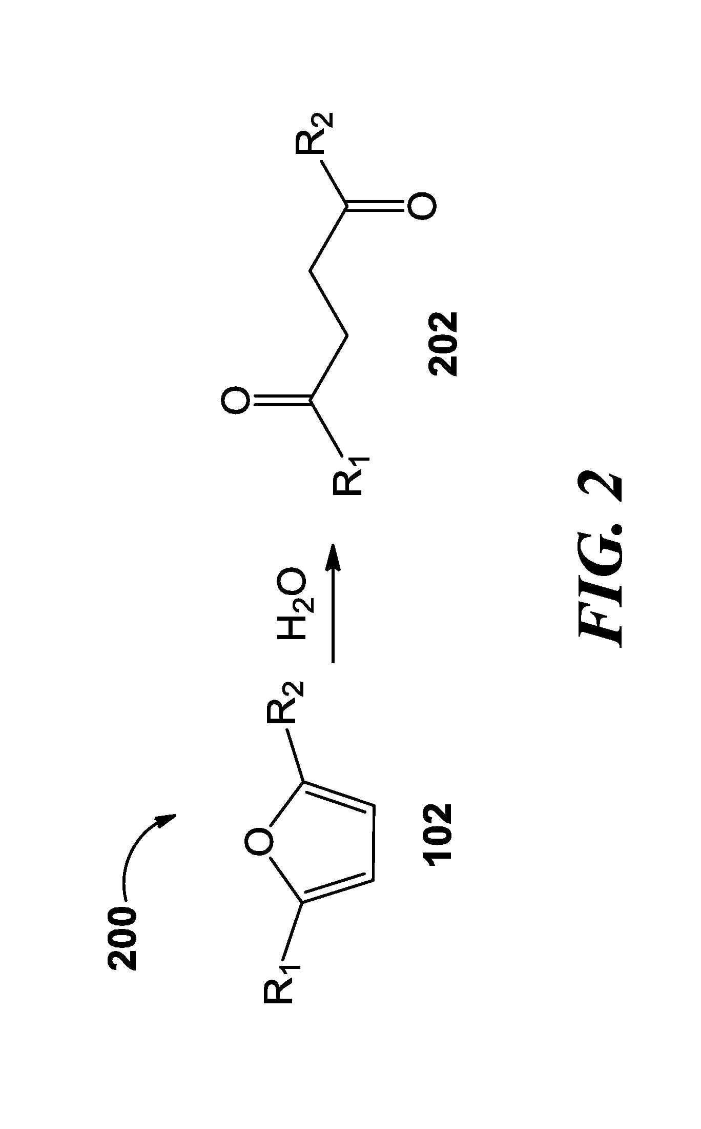 Methods of producing para-xylene and terephthalic acid