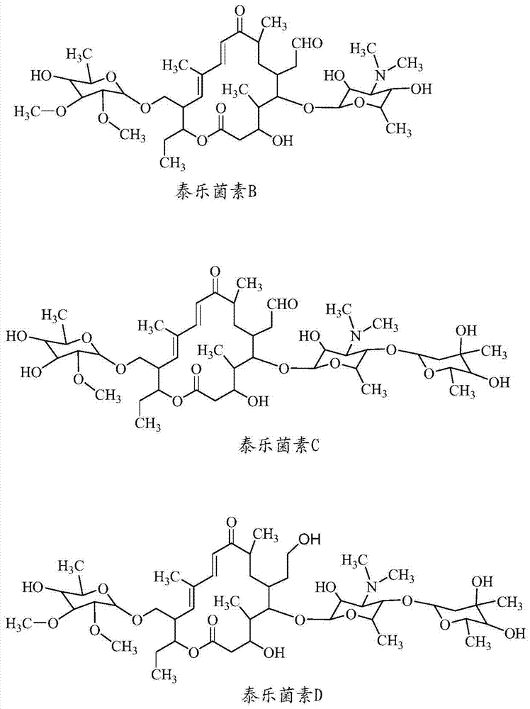 Method for preparing tylosin macrolide and derivatives thereof