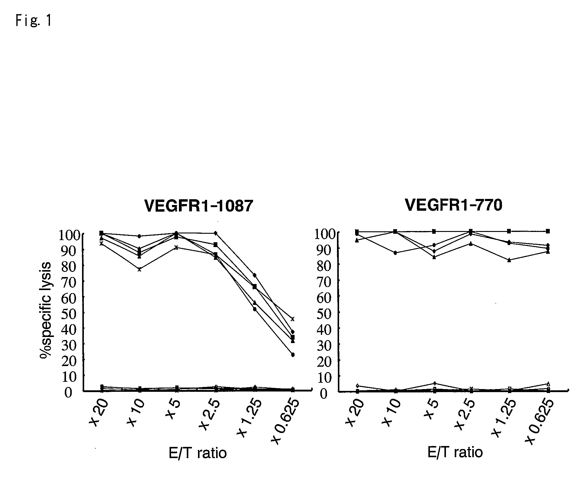 Epitope peptides derived from vascular endothelial growth factor receptor 1 and vaccines containing these peptides