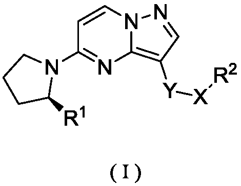 Substituted pyrazolo [1,5-a] pyrimidine compound used as Trk kinase inhibitor