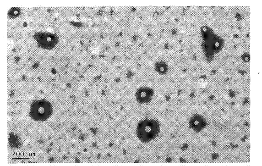 Method for preparing pH sensitive in-situ gel nano slow-release eye drop
