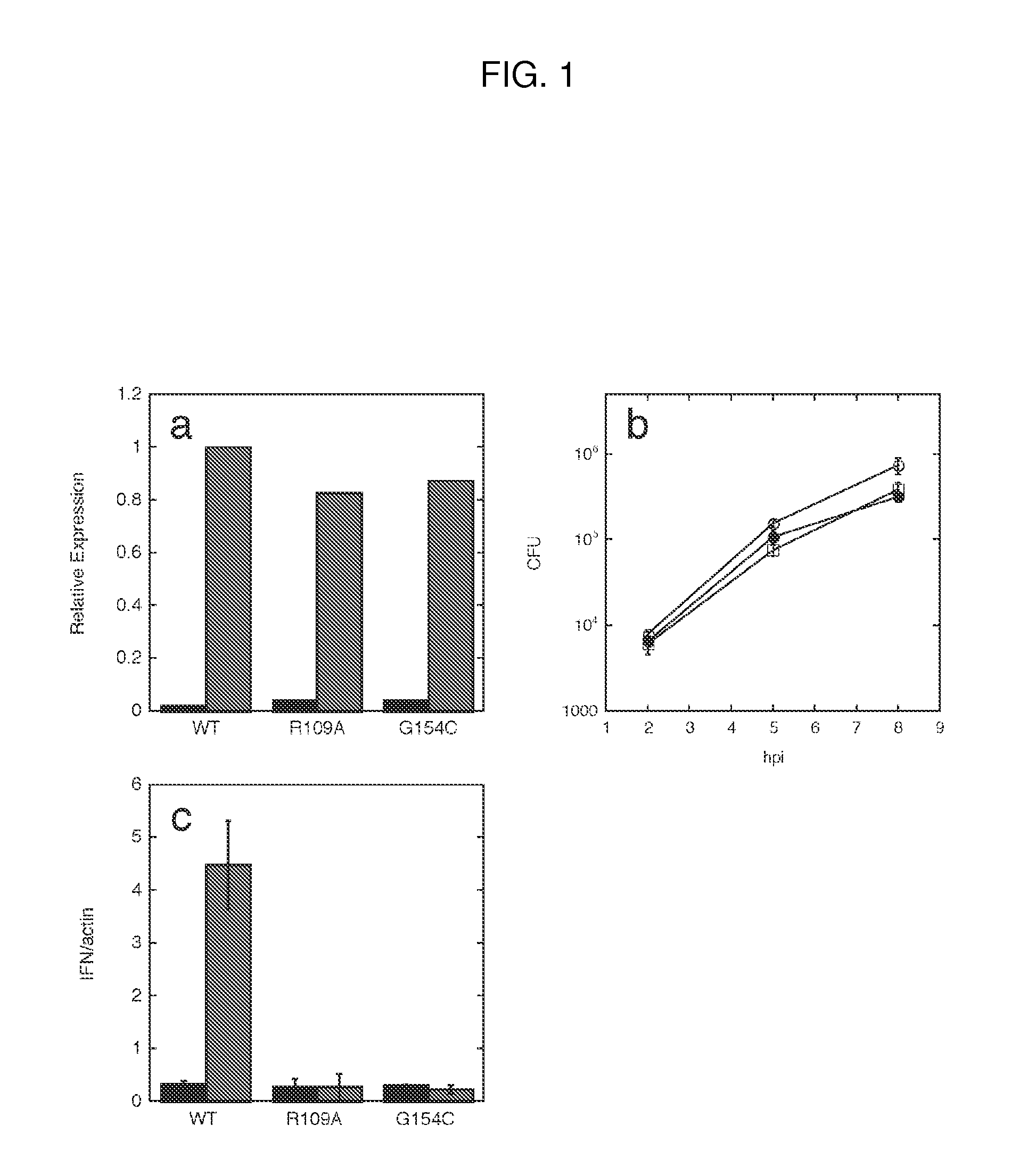 Cyclic di-amp induction of type i interferon