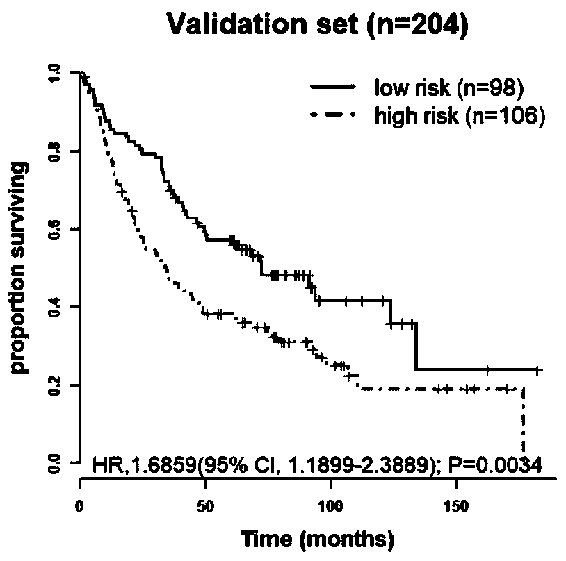 Molecular marker relevant to non-small-cell lung cancer prognosis and application thereof