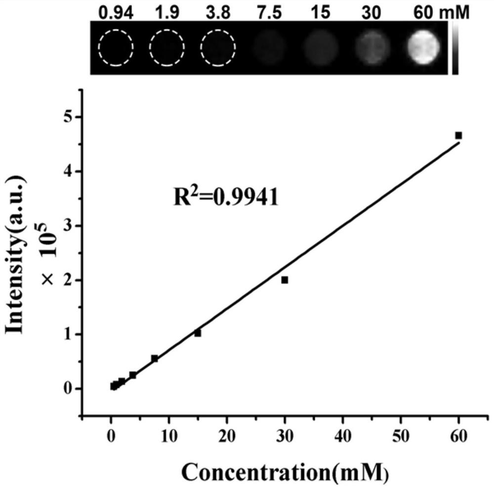 Application of polymer nanoprobe based on perflubron