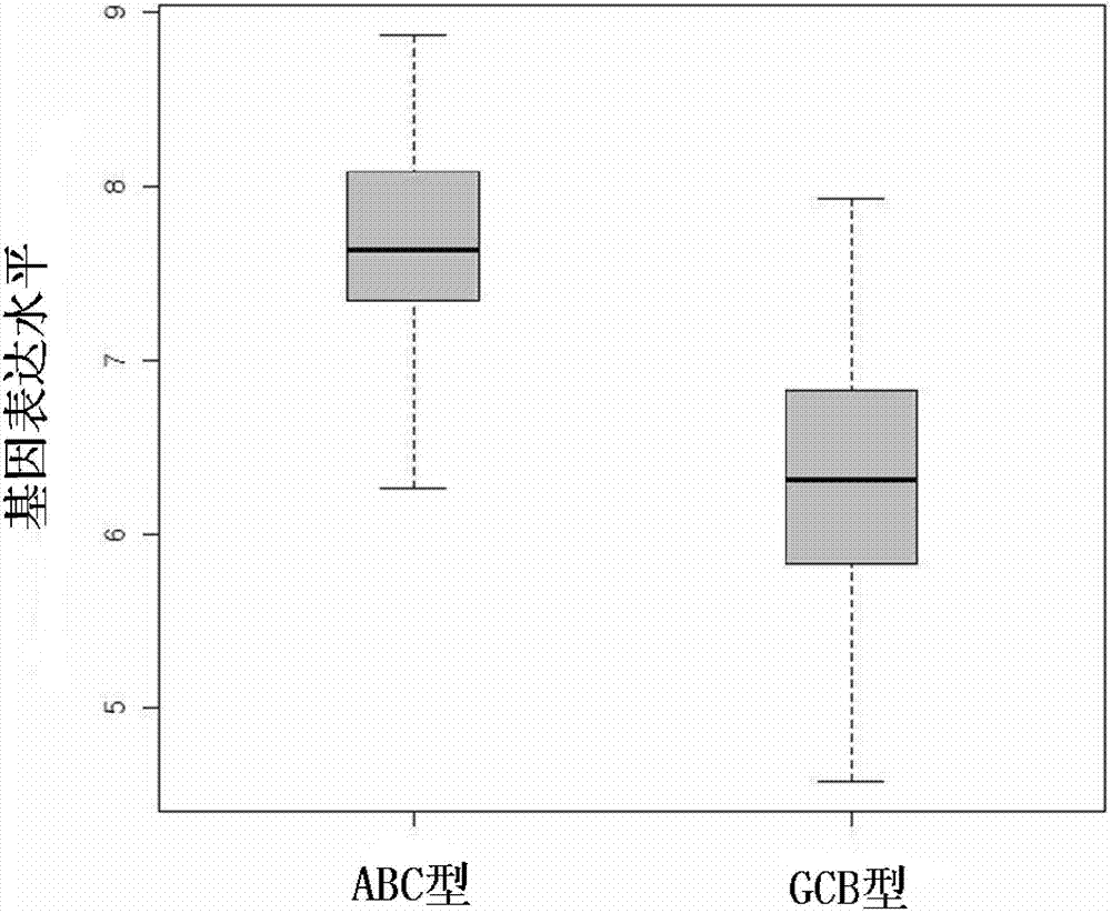 Detection method of molecular marker of diffuse large B-cell lymphoma and application thereof