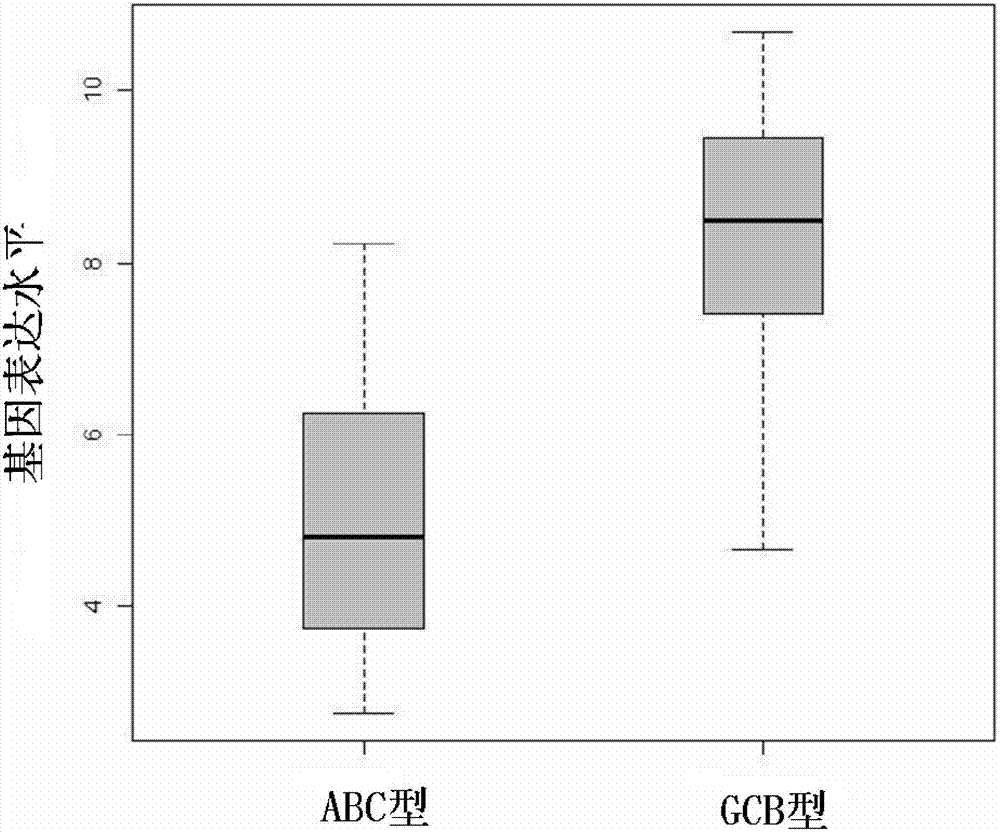 Detection method of molecular marker of diffuse large B-cell lymphoma and application thereof