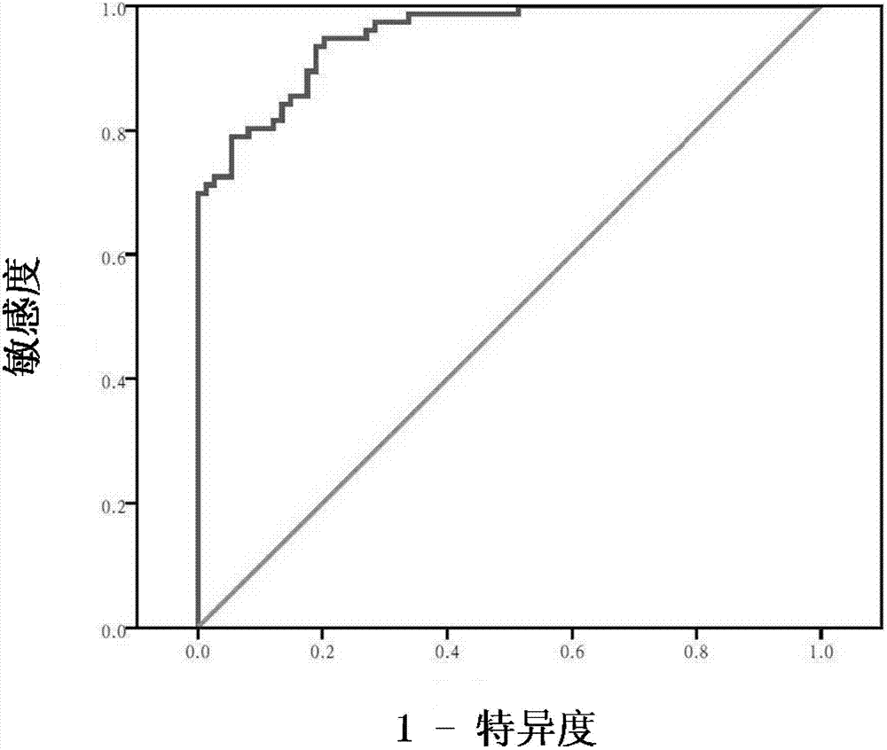 Detection method of molecular marker of diffuse large B-cell lymphoma and application thereof
