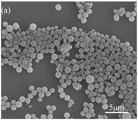 Preparation method of camellia seed shell based carbon microspheres with high specific surface area