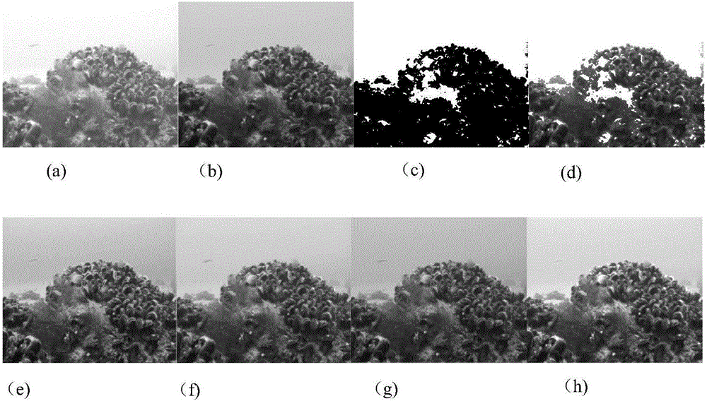 Underwater image enhancement method based on dark channel prior algorithm and white balance