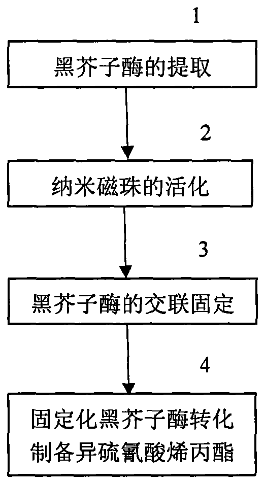 Immobilized enzyme conversion preparation method for allyl isothiocyanate