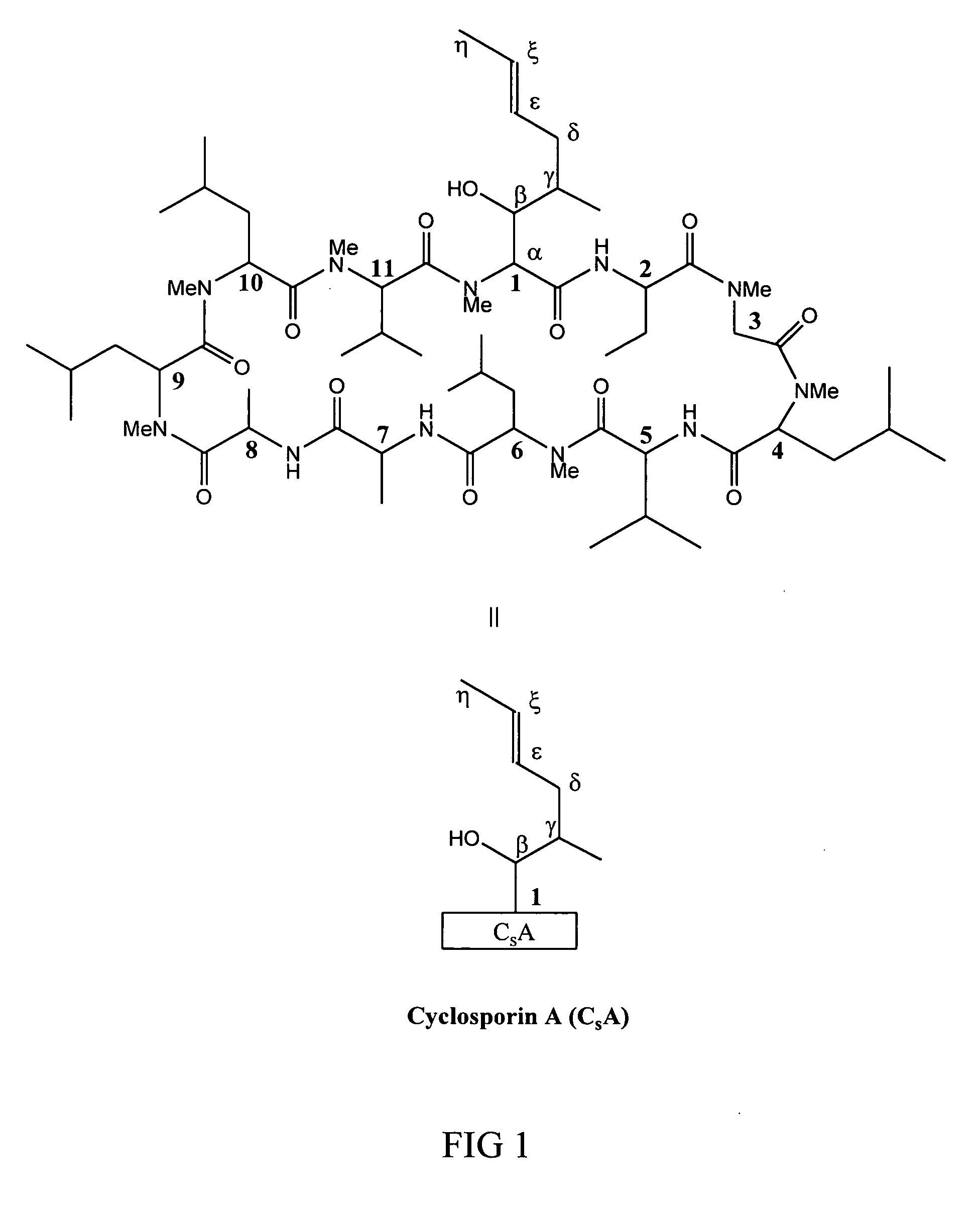 Metabolites of cyclosporin analogs