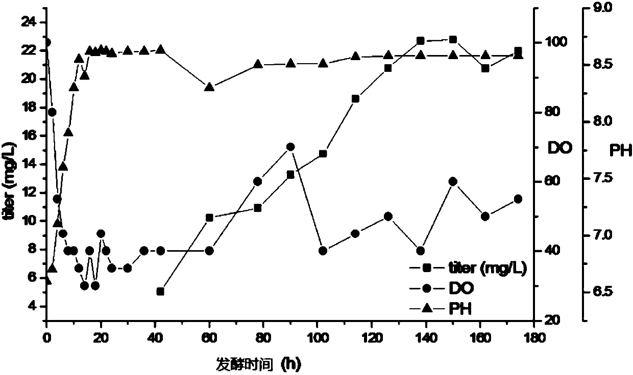 Fermentation process for preparing tiancimycin-A and derivatives thereof by streptomyces sp