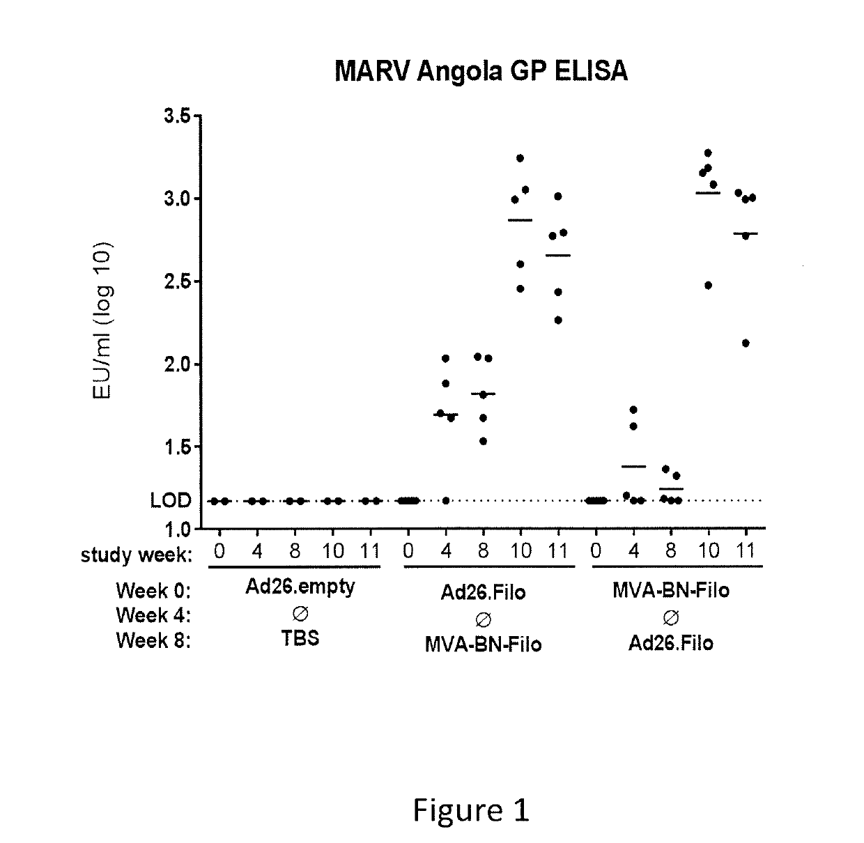 Methods and compositions for inducing protective immunity against a marburg virus infection