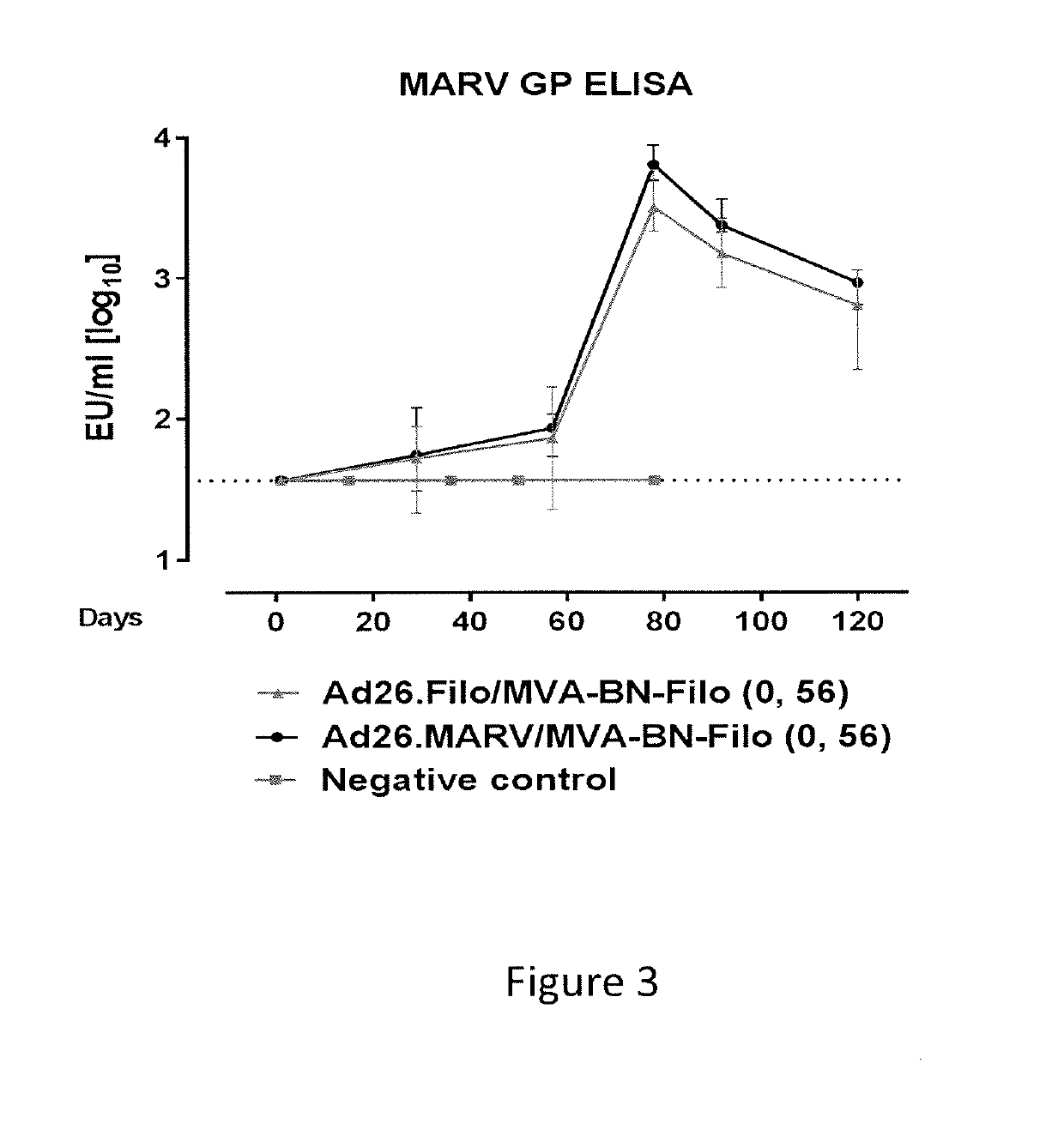 Methods and compositions for inducing protective immunity against a marburg virus infection