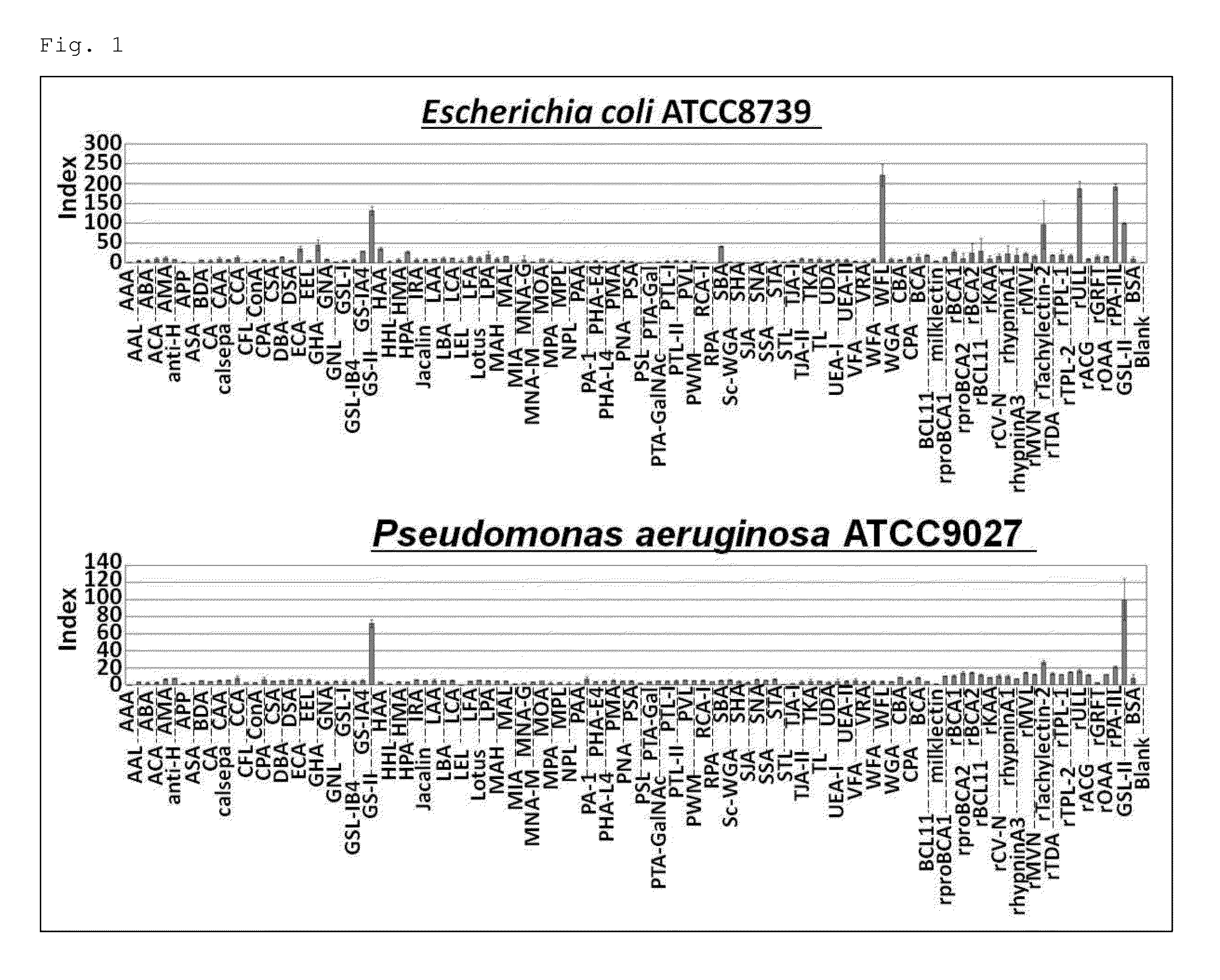 Method for distinguishing between species within the genus staphilococcus
