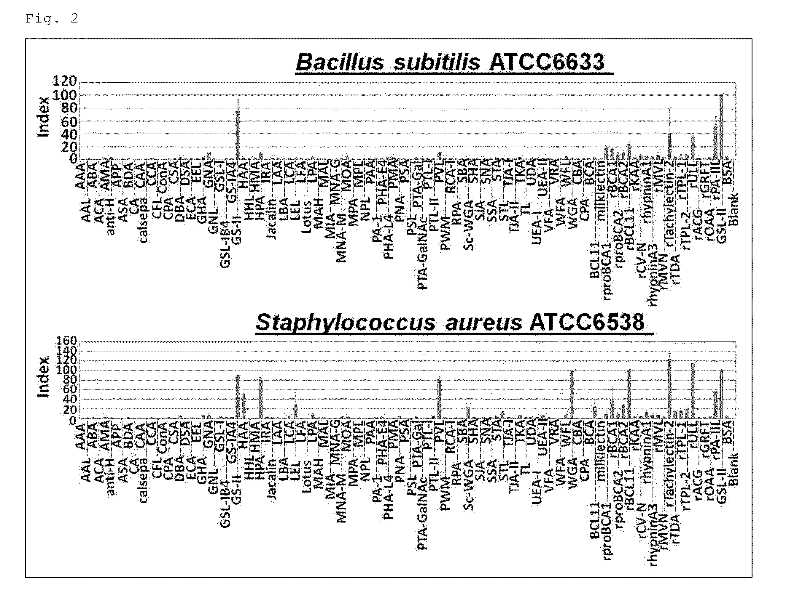 Method for distinguishing between species within the genus staphilococcus