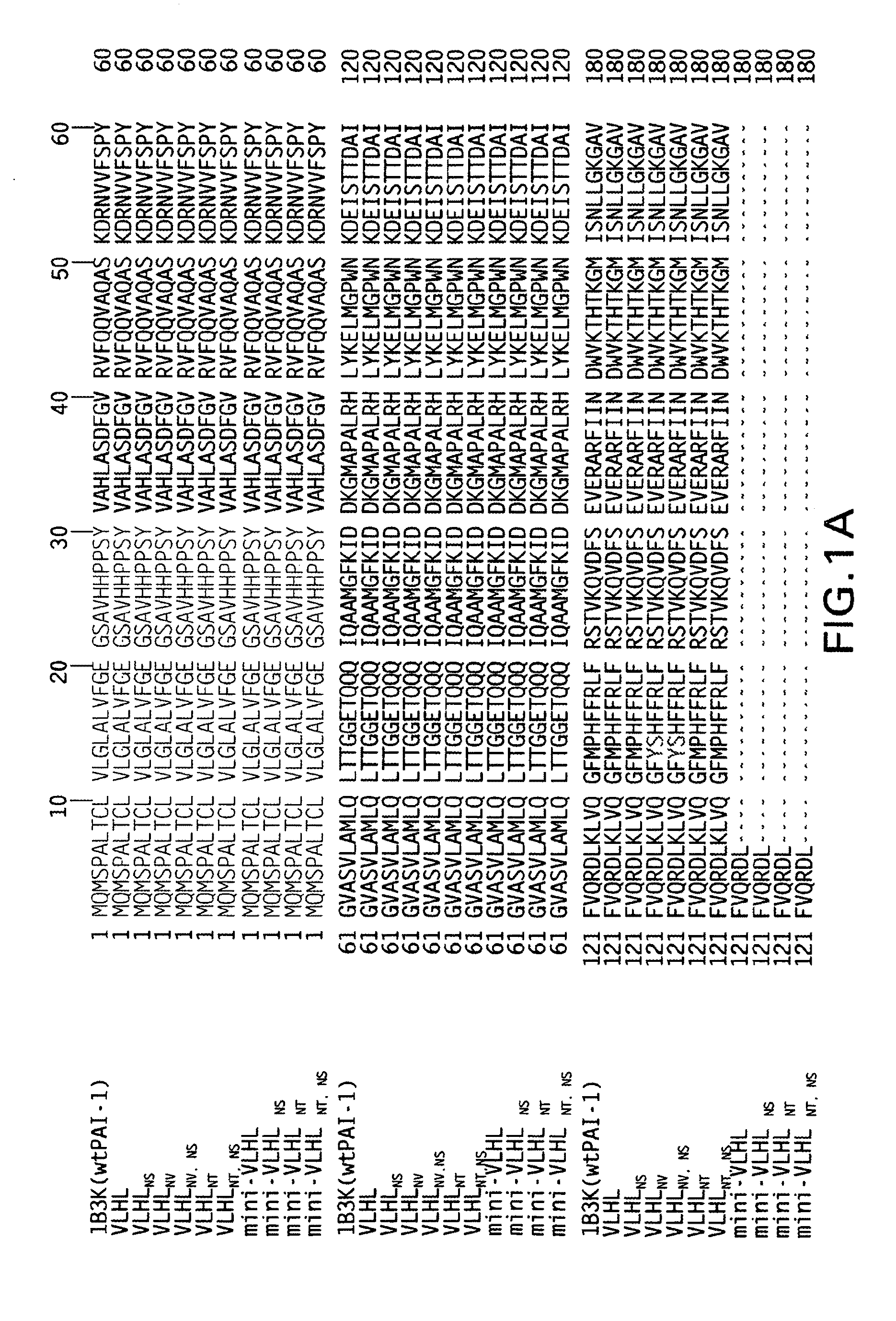 Modified plasminogen activator inhibitor type-1 molecule and methods based thereon