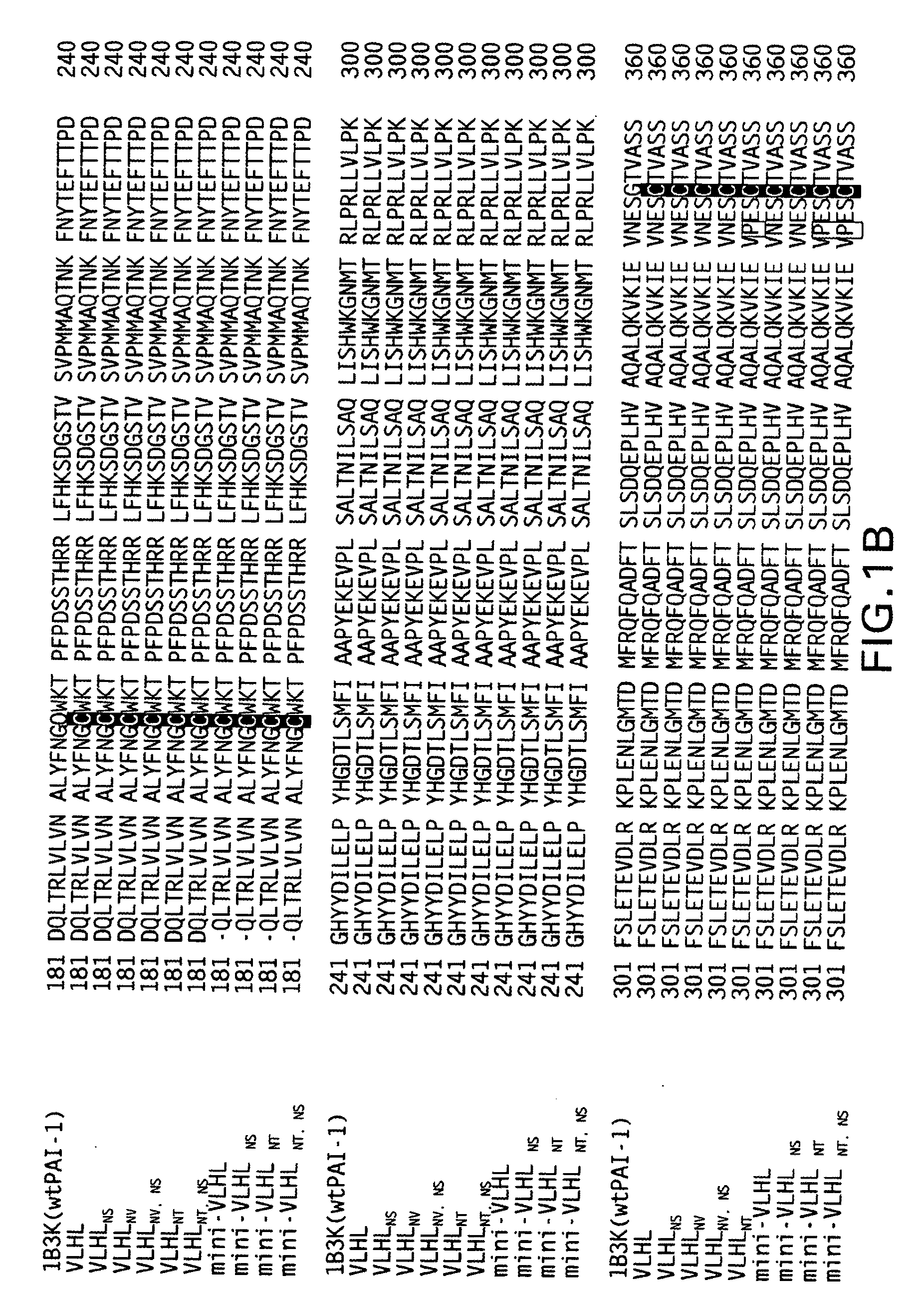 Modified plasminogen activator inhibitor type-1 molecule and methods based thereon