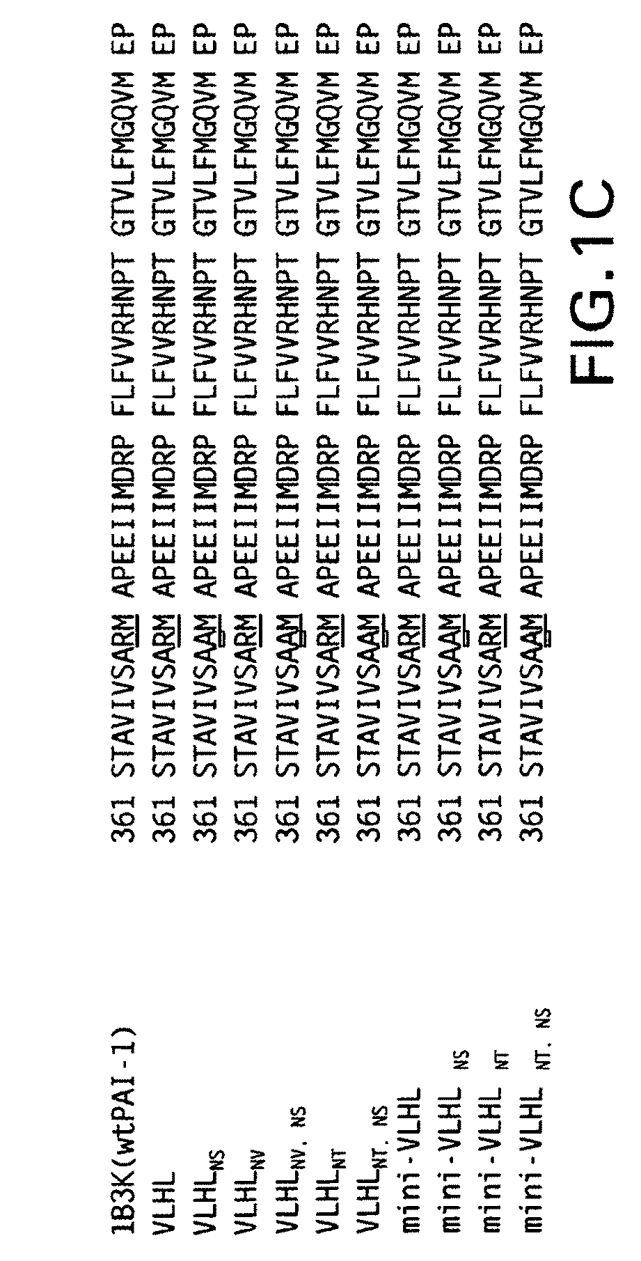 Modified plasminogen activator inhibitor type-1 molecule and methods based thereon